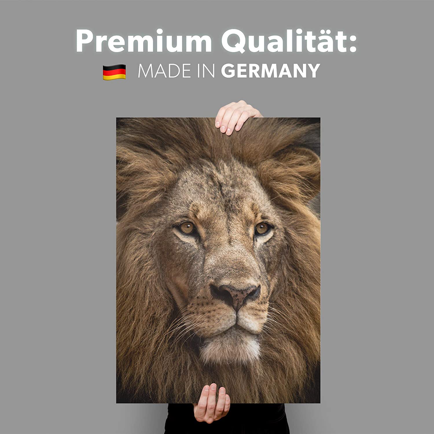 Golden Posters Foto Poster Löwe (70x50cm)